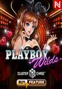 Playboy Wilds