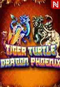 Tiger Turtle Dragon Phoenix